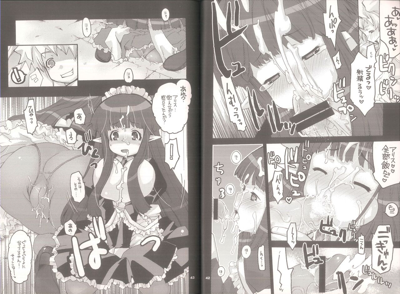 (C74) [Seinansei ni Kagayakeru Hoshi (Morino Papiko)] Yawa Collection vol.3 (Ragnarok Online) 21