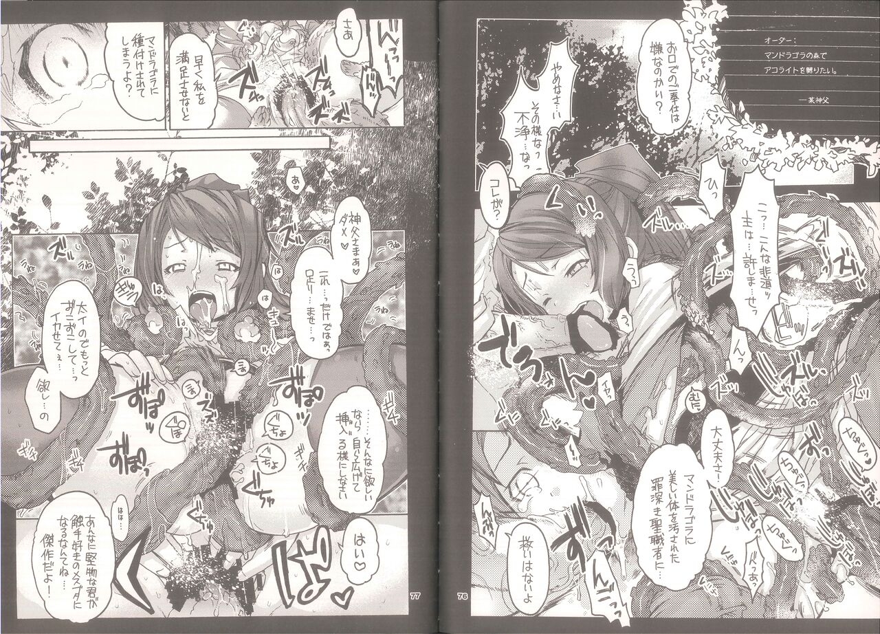 (C74) [Seinansei ni Kagayakeru Hoshi (Morino Papiko)] Yawa Collection vol.3 (Ragnarok Online) 38