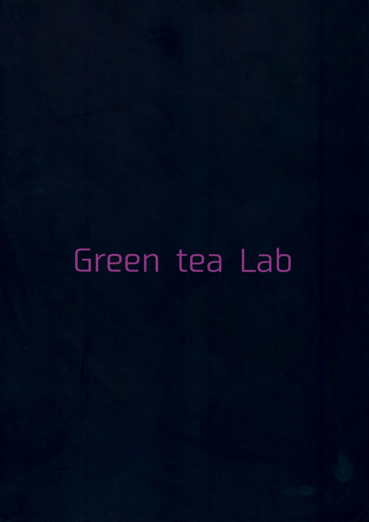 (C96) [Green tea Lab (Midarin)] Mayonaka no Eientei | Midnight at Eientei (Touhou Project) [English] 29