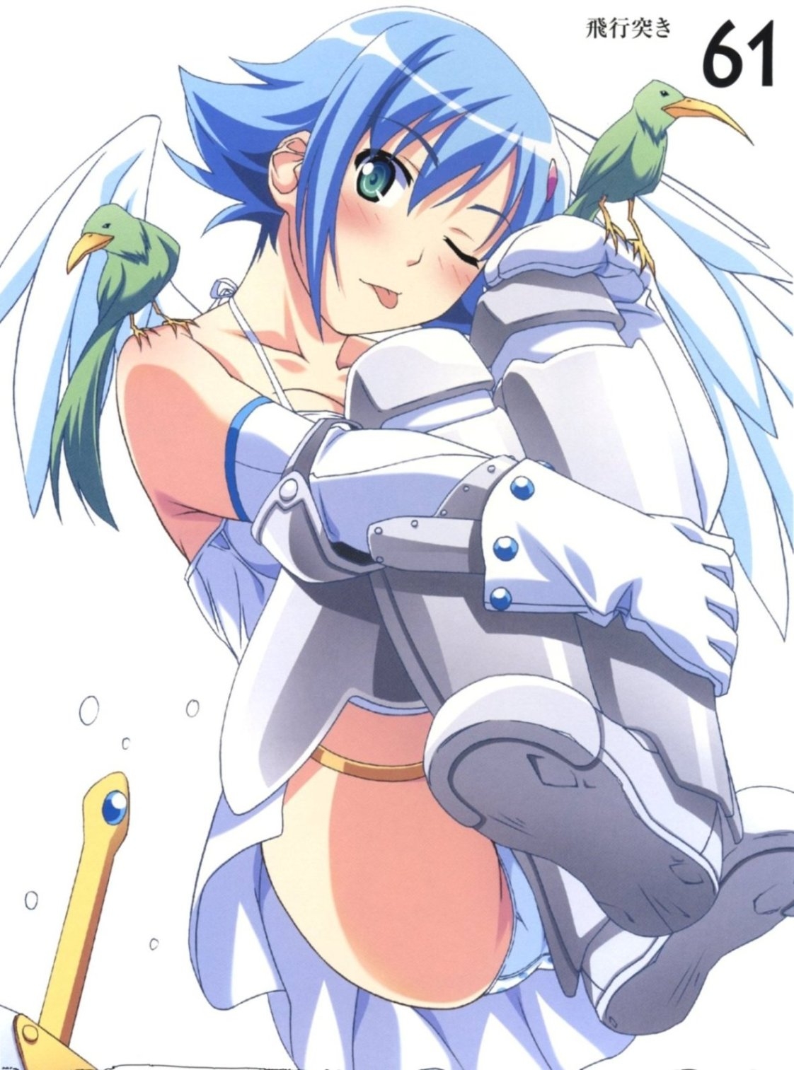 [Kuuchuu Yousai] Koumyou no Tenshi Nanael (Queen's Blade) 36