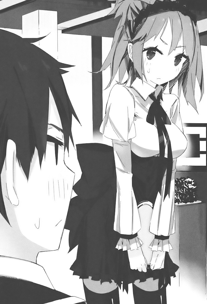 [light novel] yahari ore no seishun love come wa machigatteiru illust compliation 25