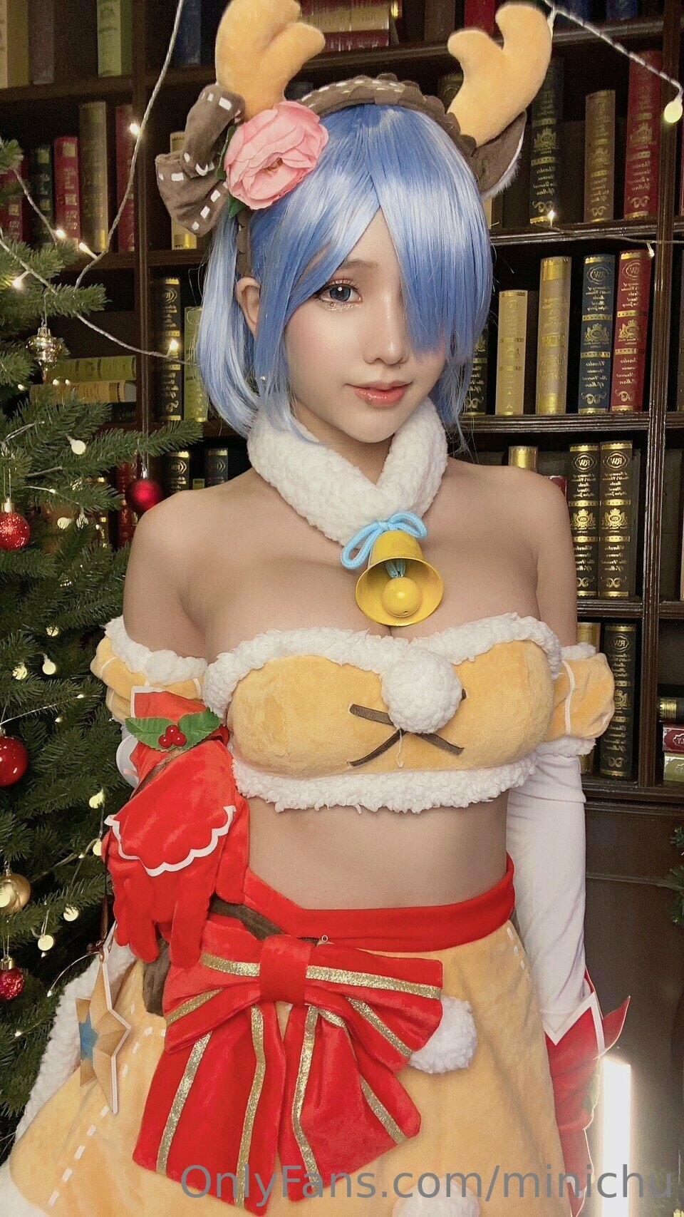 Minichu - Reindeer Rem 4