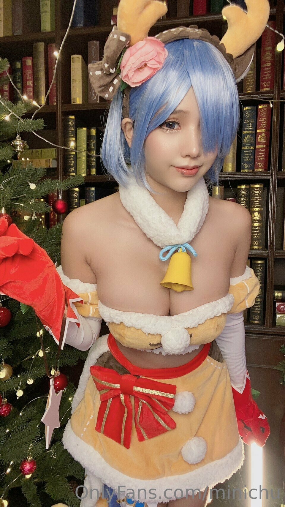 Minichu - Reindeer Rem 5