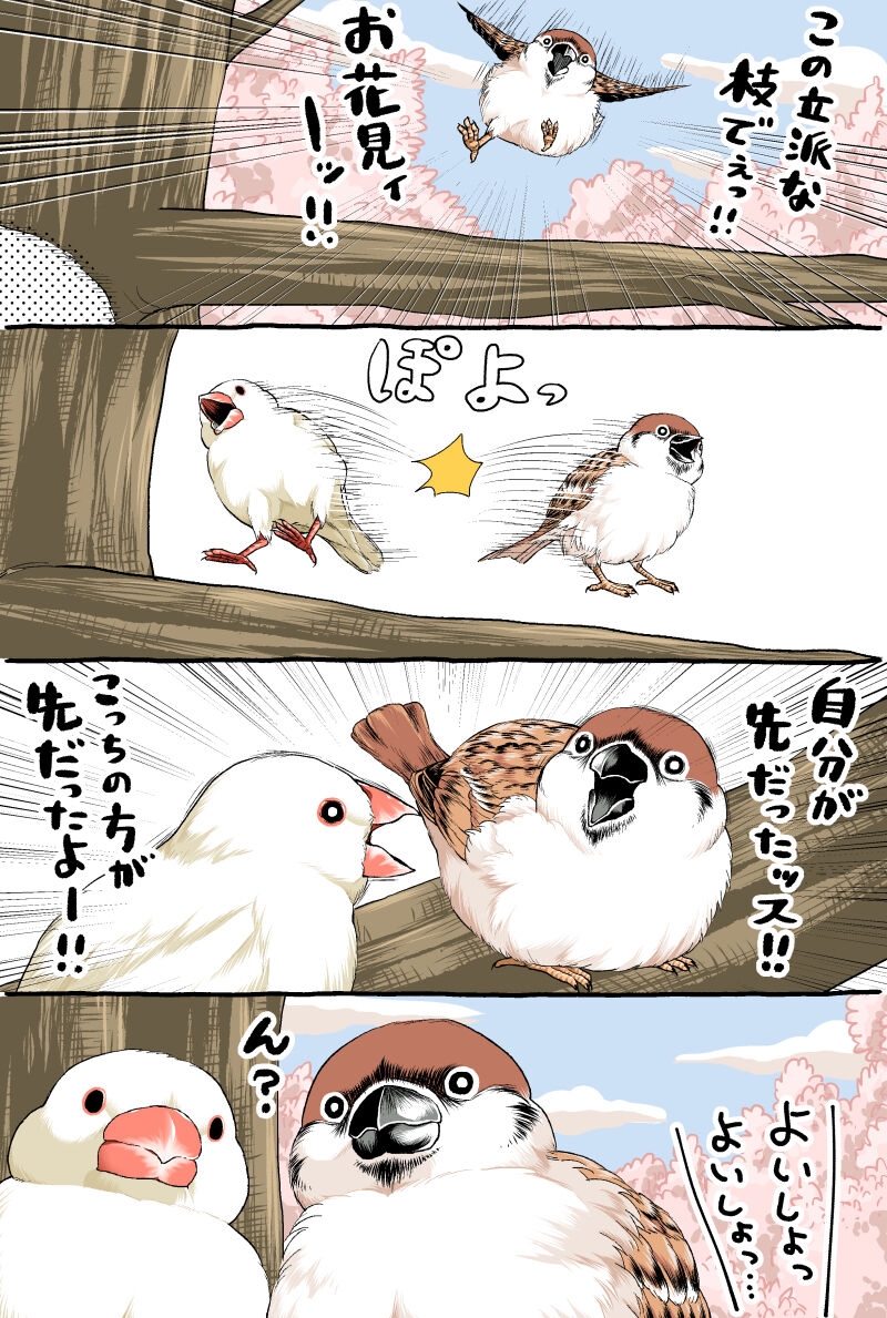 [初丸うげべそ] ちゅんトーク 44