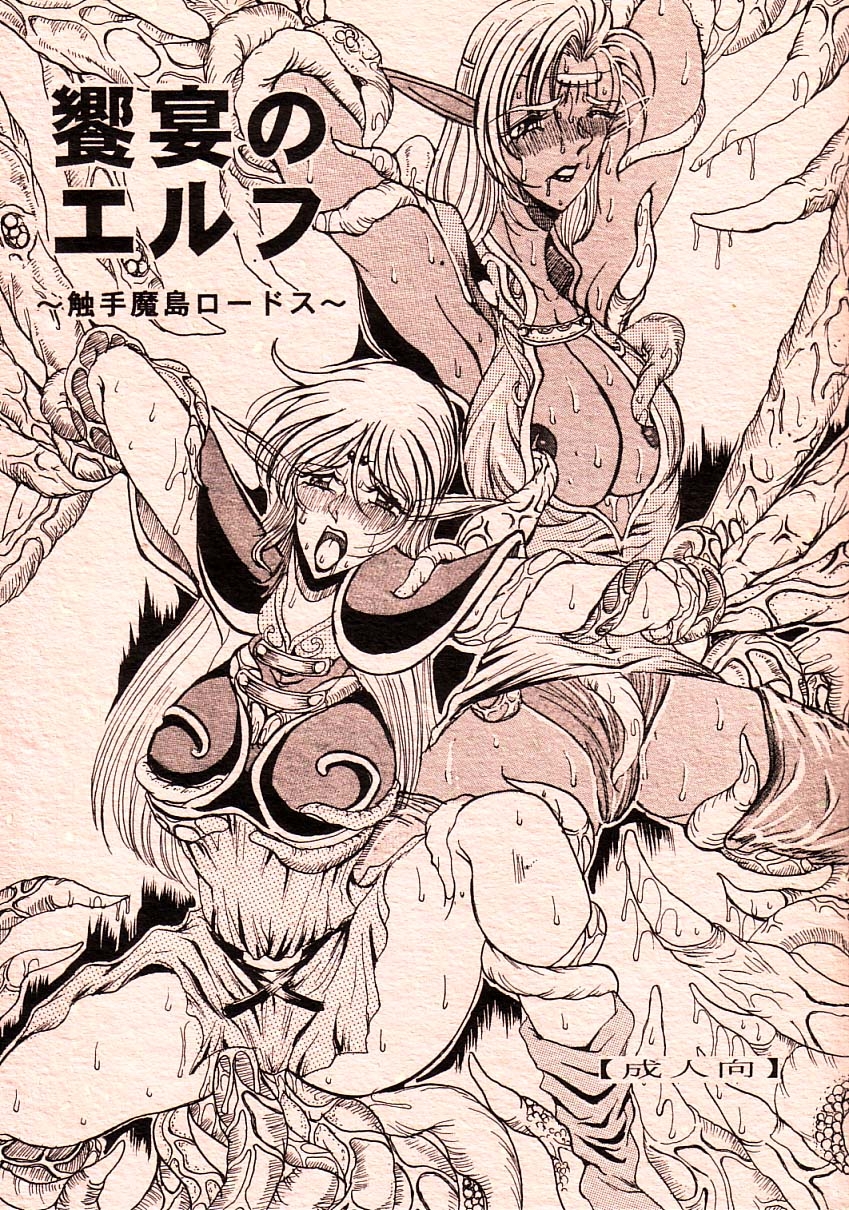 (C66) [WHITE ELEPHANT (Mizukami Yuuki)] Kyouen no Elf ~Shokushu Mashima Lodoss~ (Record of Lodoss War) 0