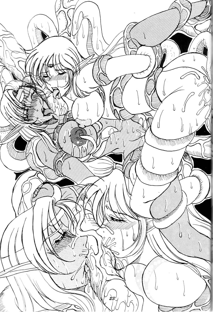 (C66) [WHITE ELEPHANT (Mizukami Yuuki)] Kyouen no Elf ~Shokushu Mashima Lodoss~ (Record of Lodoss War) 21