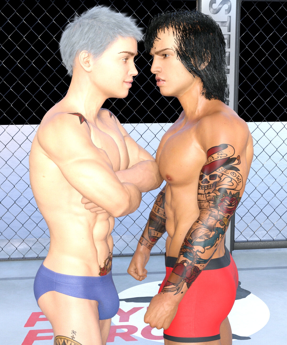 (WinterH) wrestling 3D Art 111