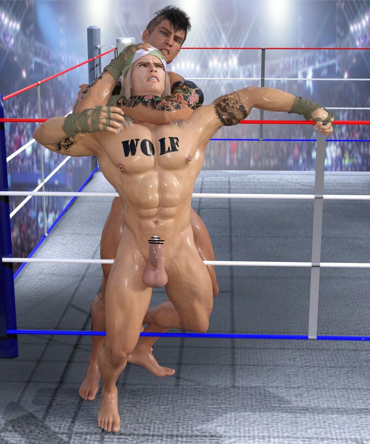 (WinterH) wrestling 3D Art 191