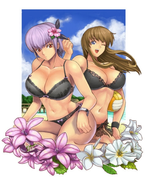 Dead Or Alive Ayane HENTAI Image collection 33