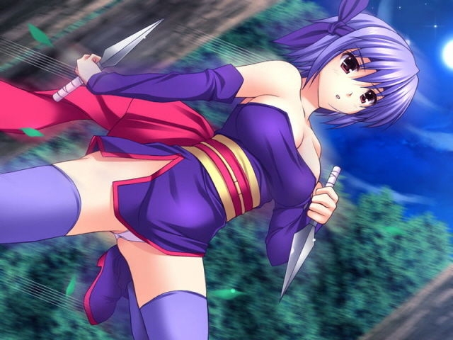 Dead Or Alive Ayane HENTAI Image collection 40