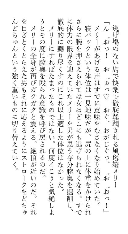 (C101) [Gentou Matenrou (Various)] Hifuu Rape Kyouhaku Choukyou Jinsei Kyousei Shuuryou Goudou (Touhou Project) 96