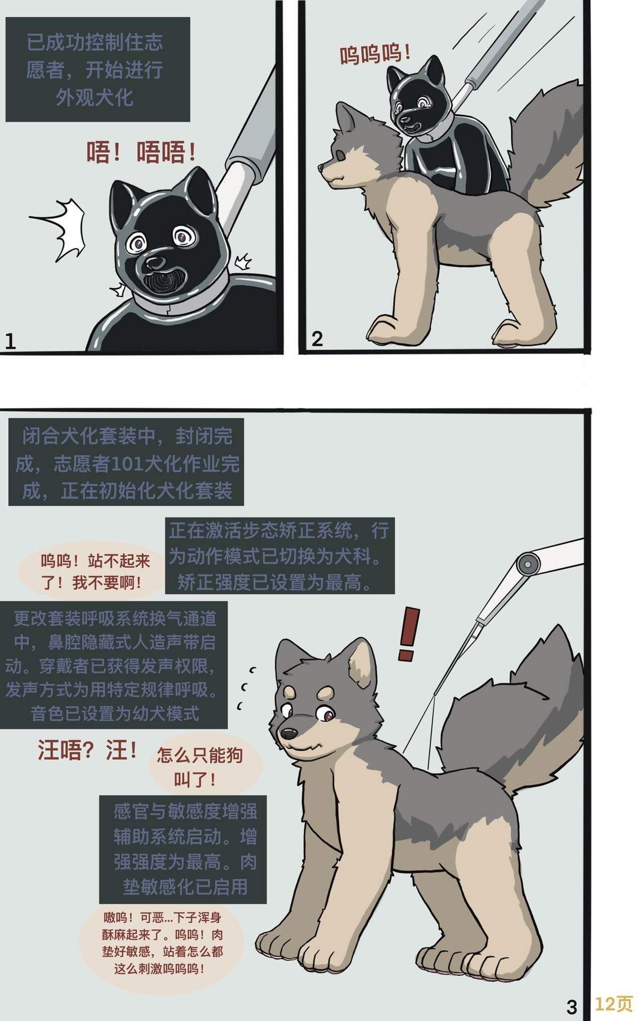[Unhappy Wolf] My little doggy brother [Chinese] 12