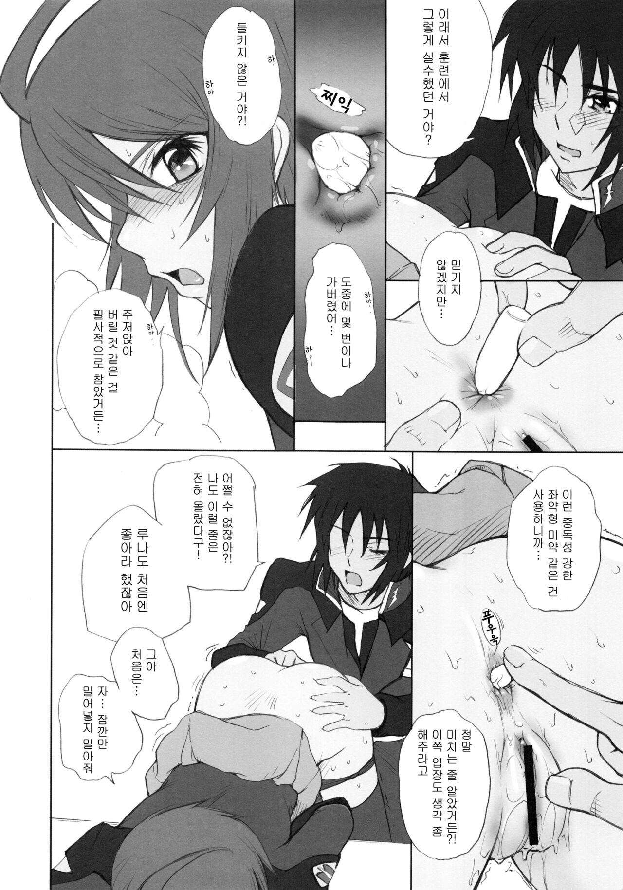 (C68) [MOON RULER (Tsukino Jyogi)] Crimson Tide (Kidou Senshi Gundam SEED DESTINY) [Korean] 6