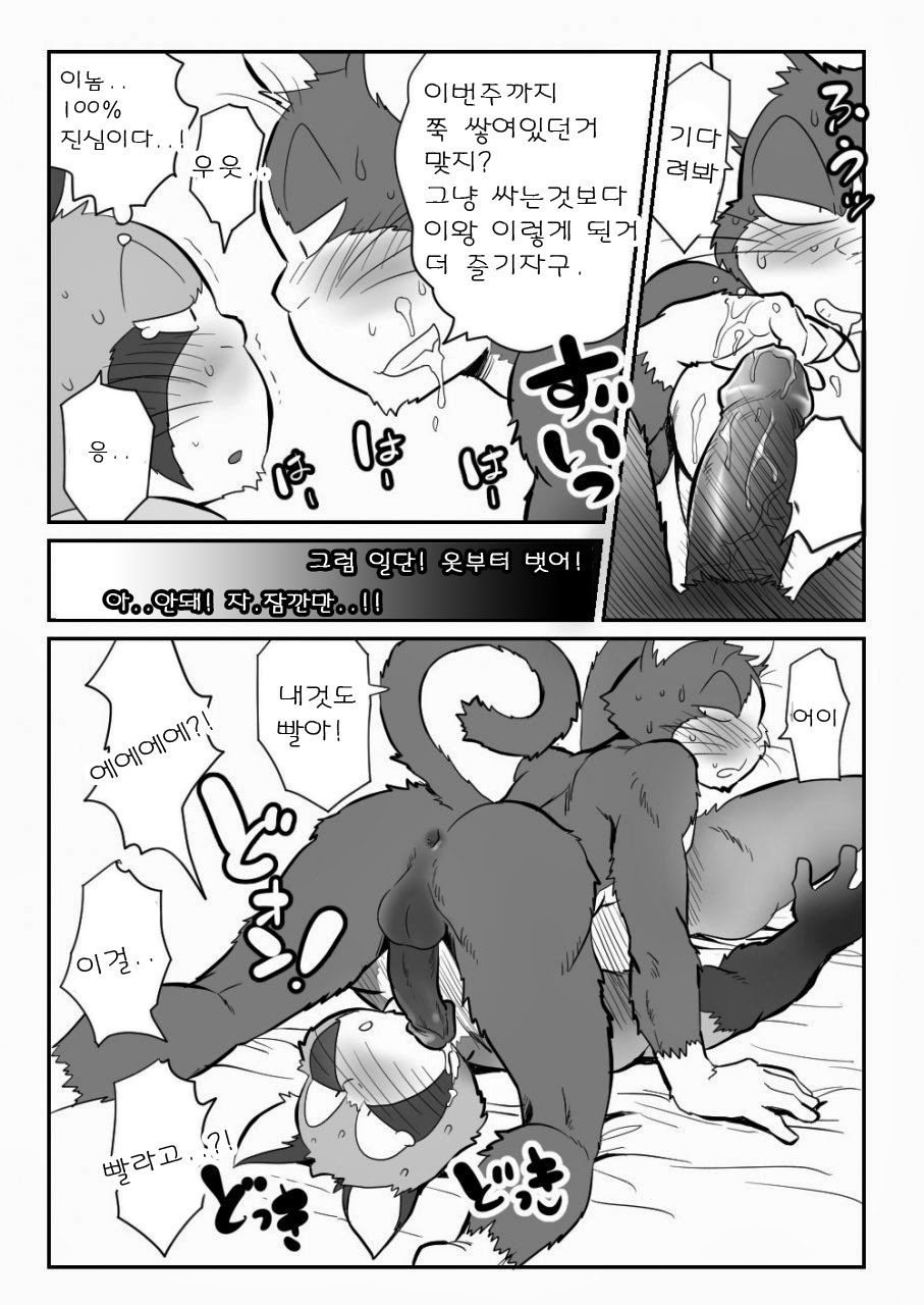 [Maririn] Neko x Neko | 고양이×고양이 1화 [Korean] [Digital] 12