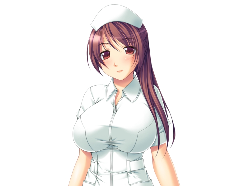 [Ame no Murakumo] Hitozuma Nurse no Inraku Karte 13