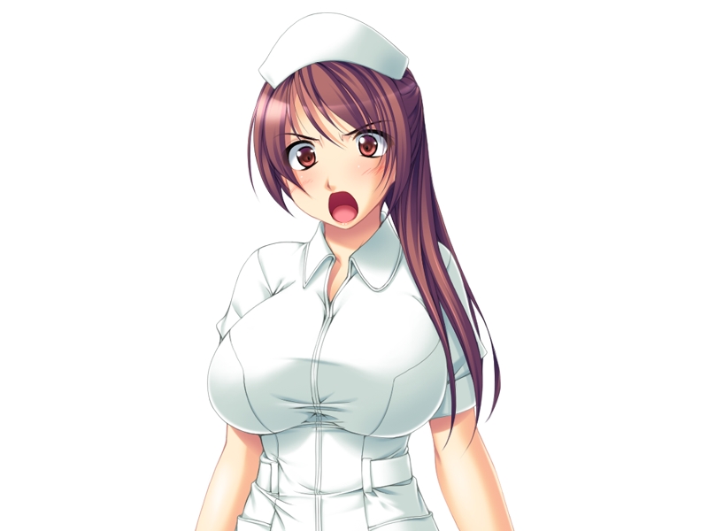 [Ame no Murakumo] Hitozuma Nurse no Inraku Karte 15