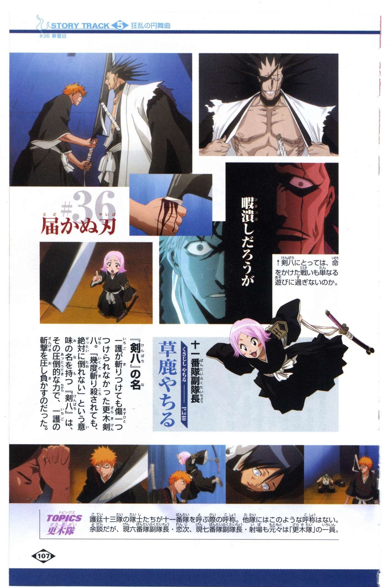 Bleach: Official Animation Book VIBEs 107