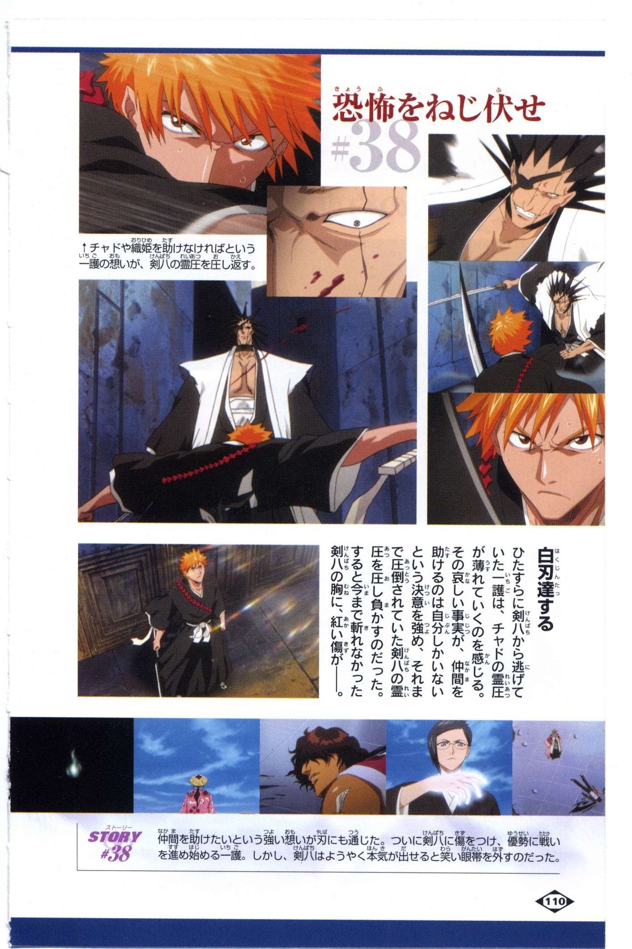 Bleach: Official Animation Book VIBEs 110