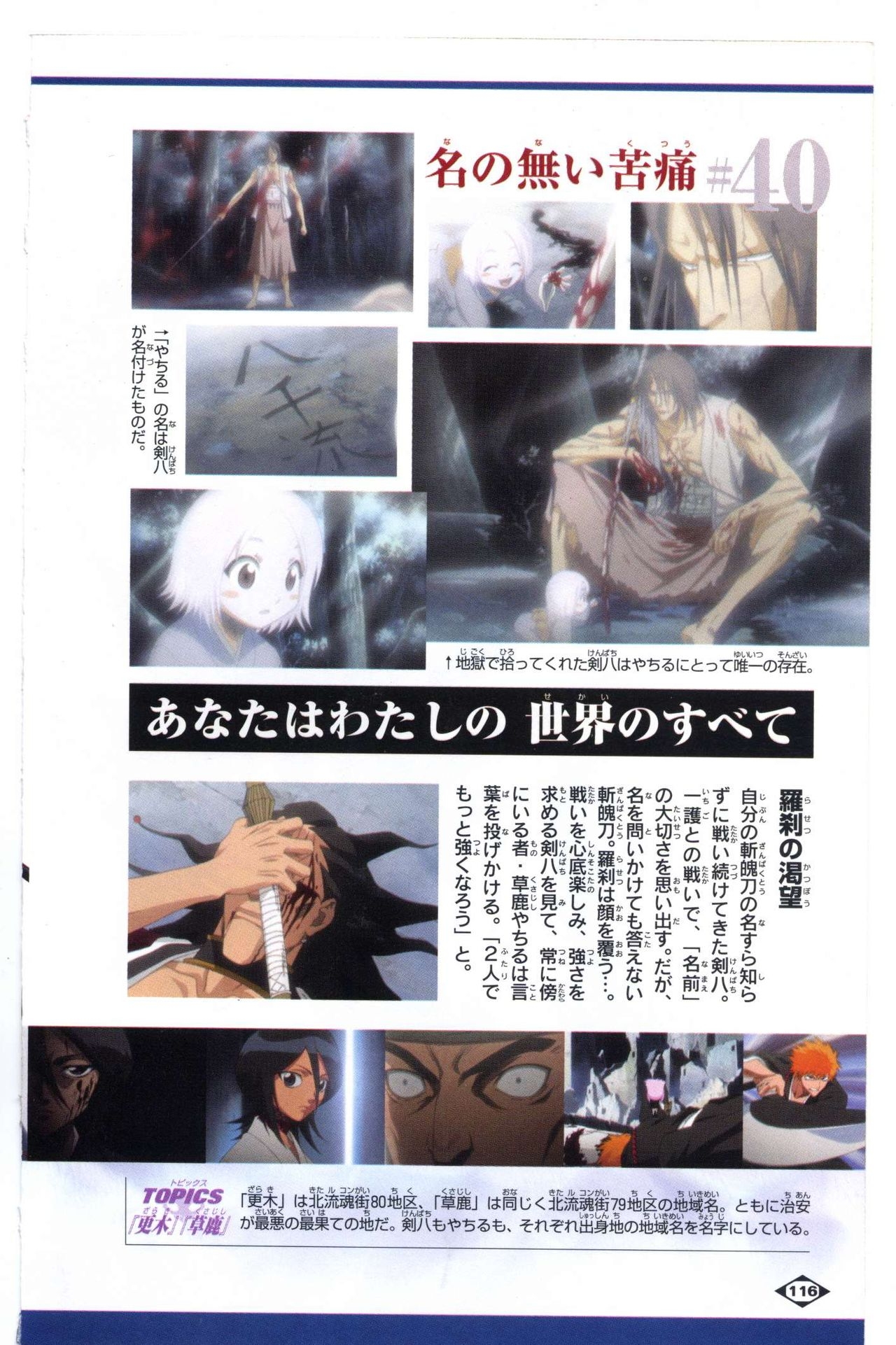 Bleach: Official Animation Book VIBEs 116