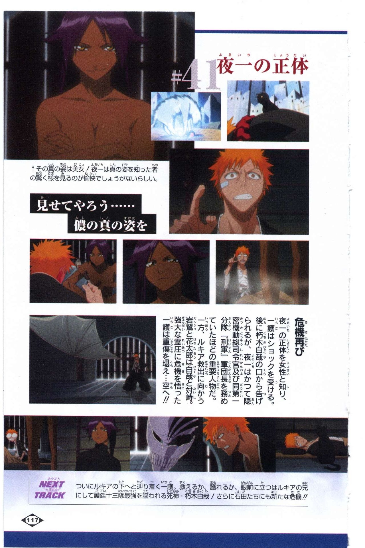 Bleach: Official Animation Book VIBEs 117