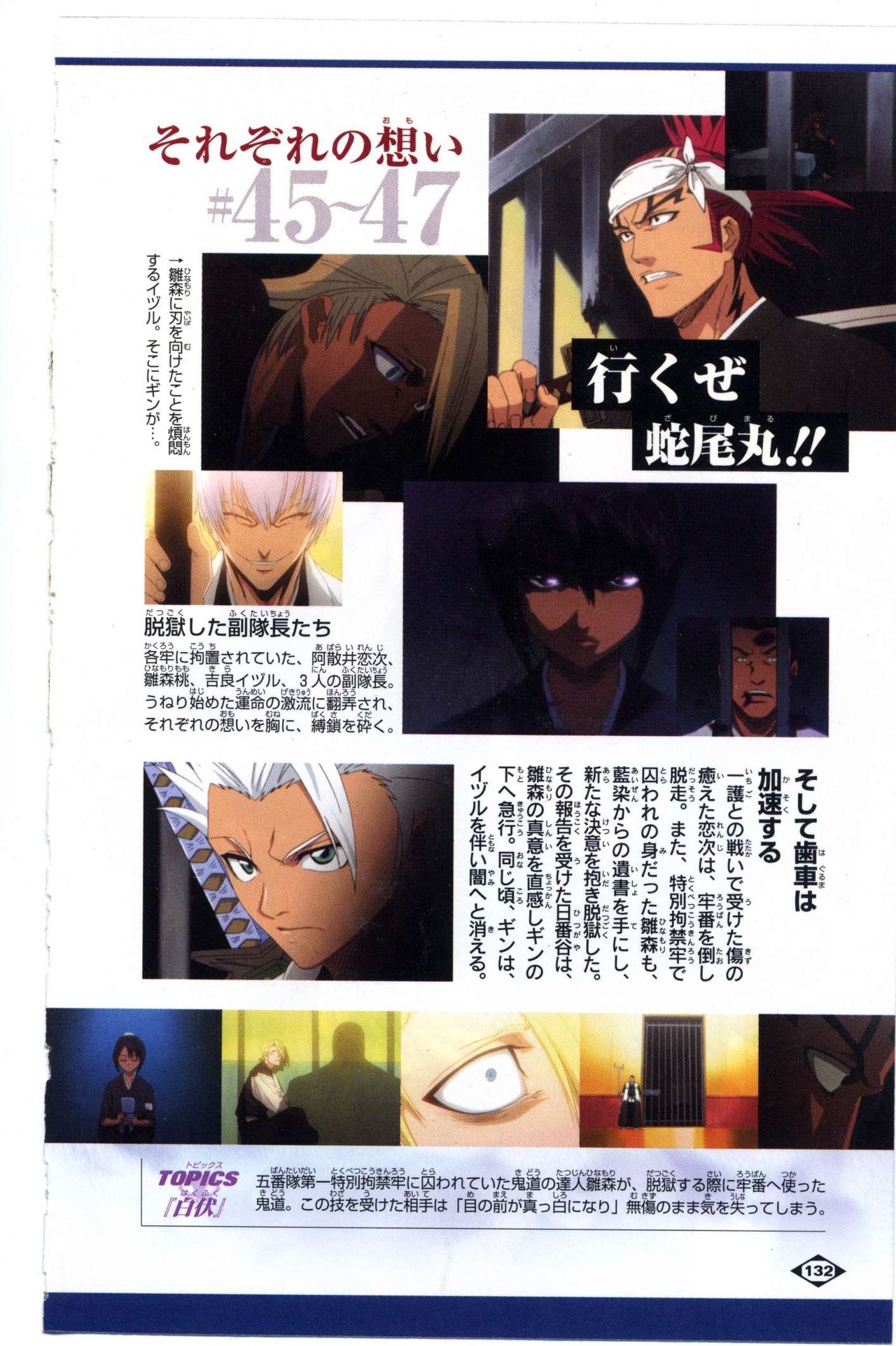 Bleach: Official Animation Book VIBEs 132