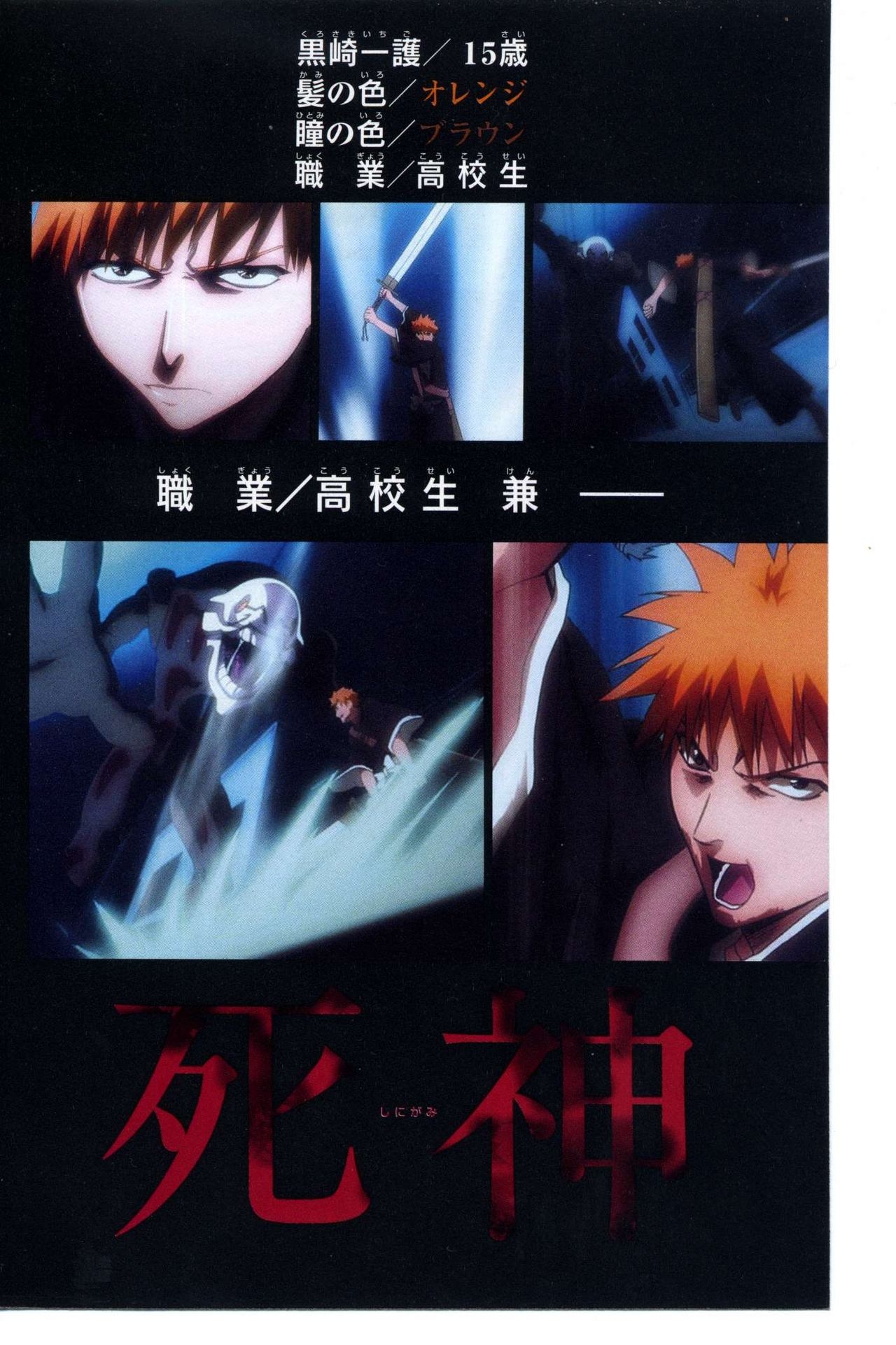 Bleach: Official Animation Book VIBEs 14