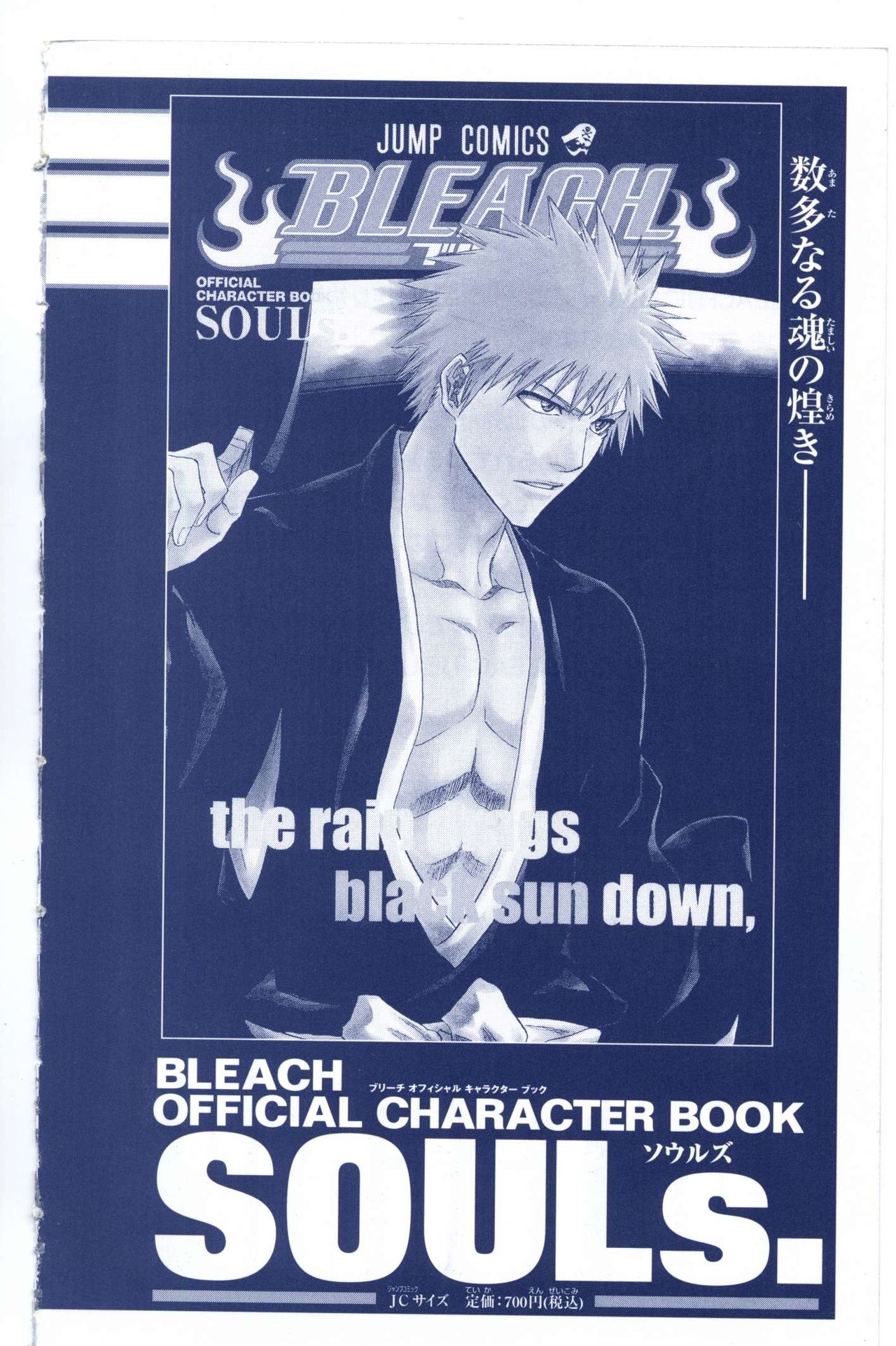Bleach: Official Animation Book VIBEs 260
