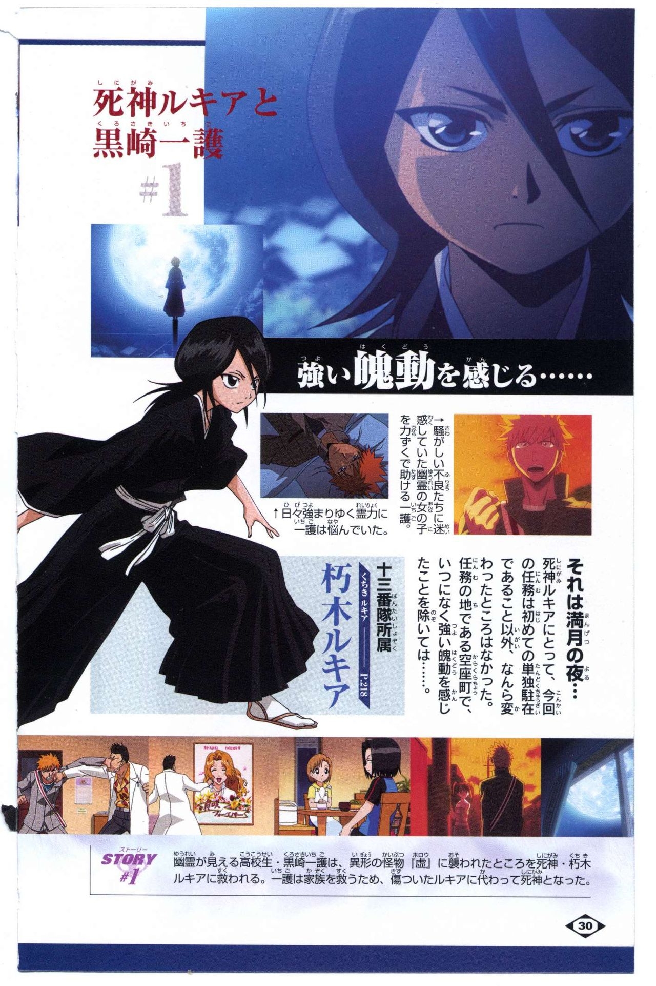 Bleach: Official Animation Book VIBEs 30