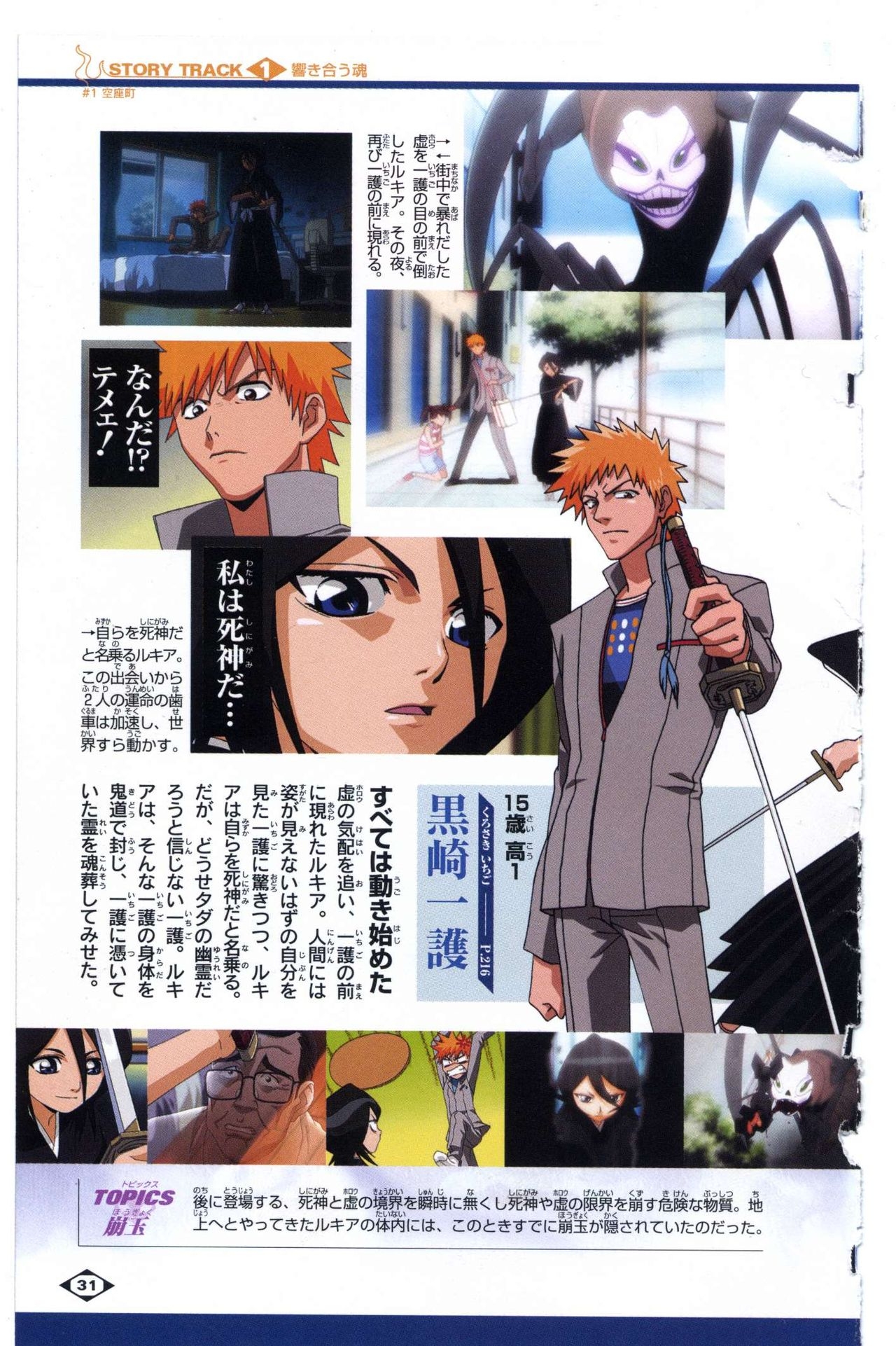 Bleach: Official Animation Book VIBEs 31