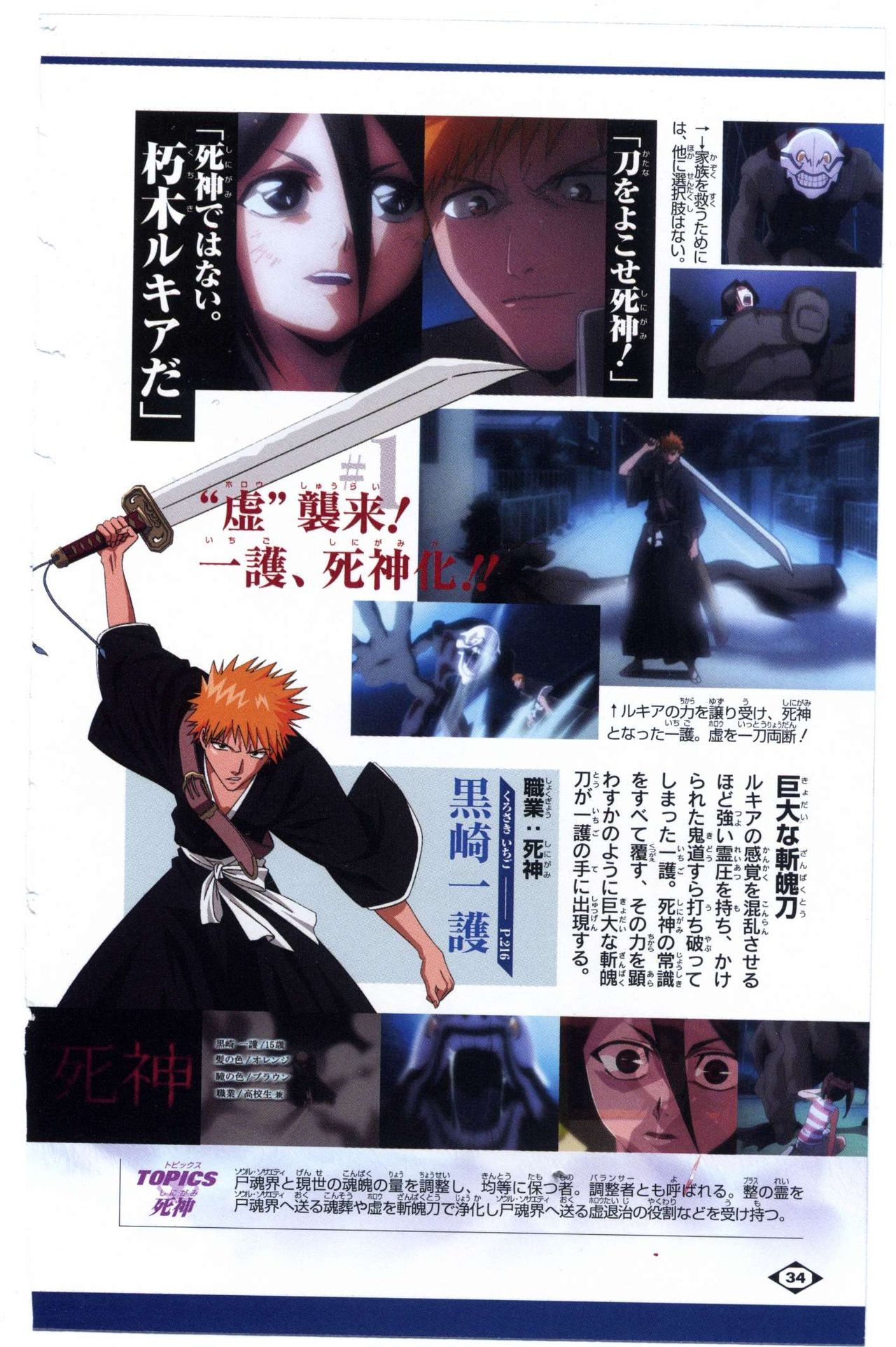 Bleach: Official Animation Book VIBEs 34