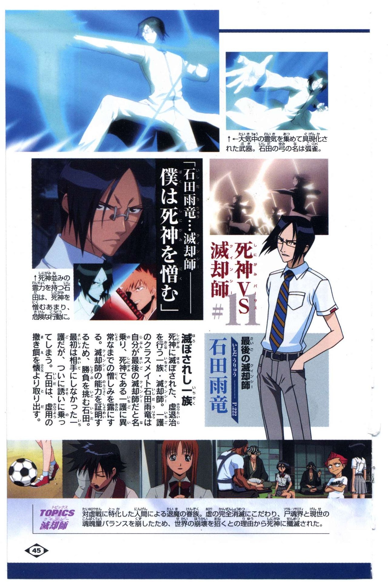 Bleach: Official Animation Book VIBEs 45