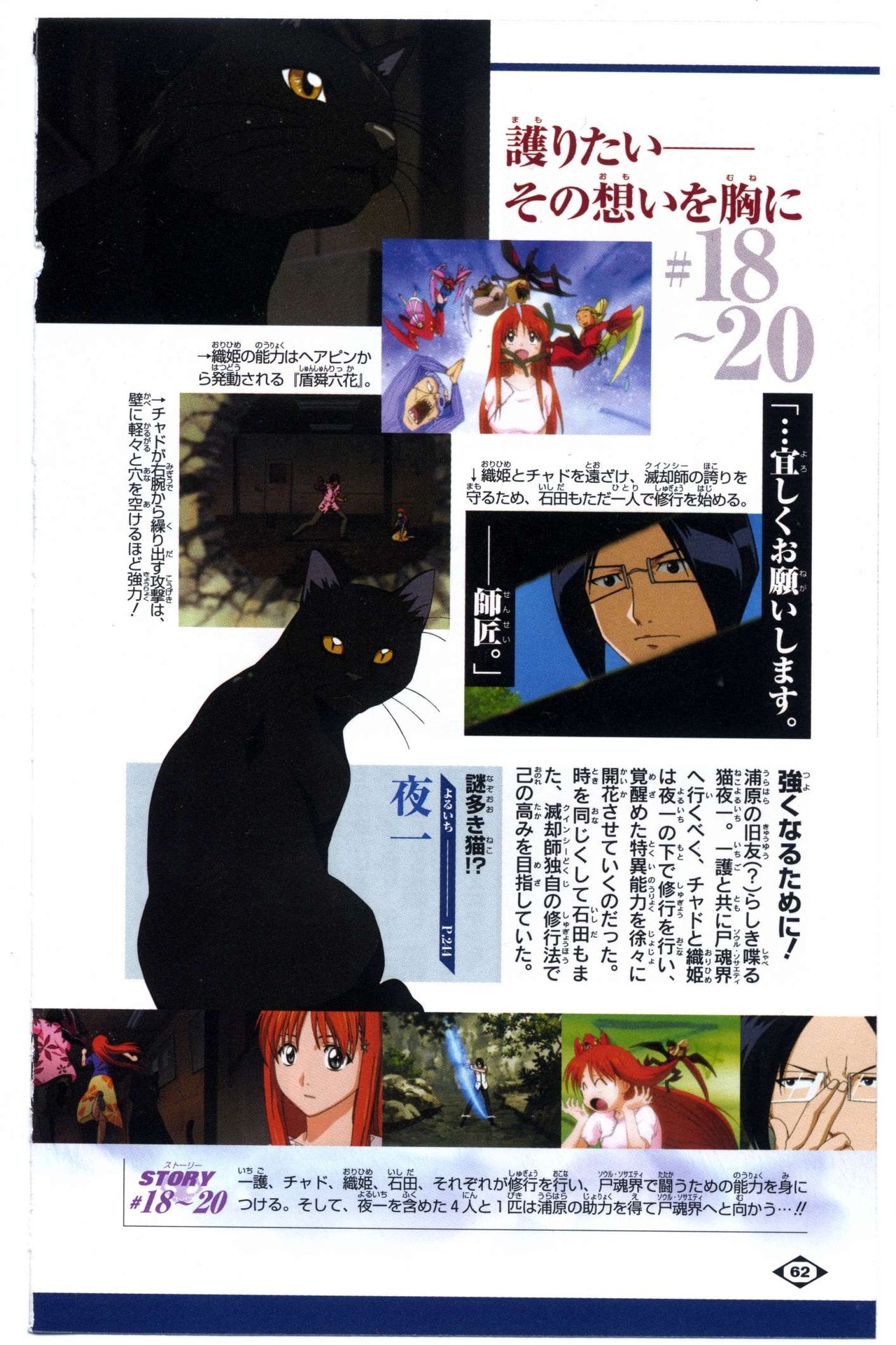 Bleach: Official Animation Book VIBEs 62
