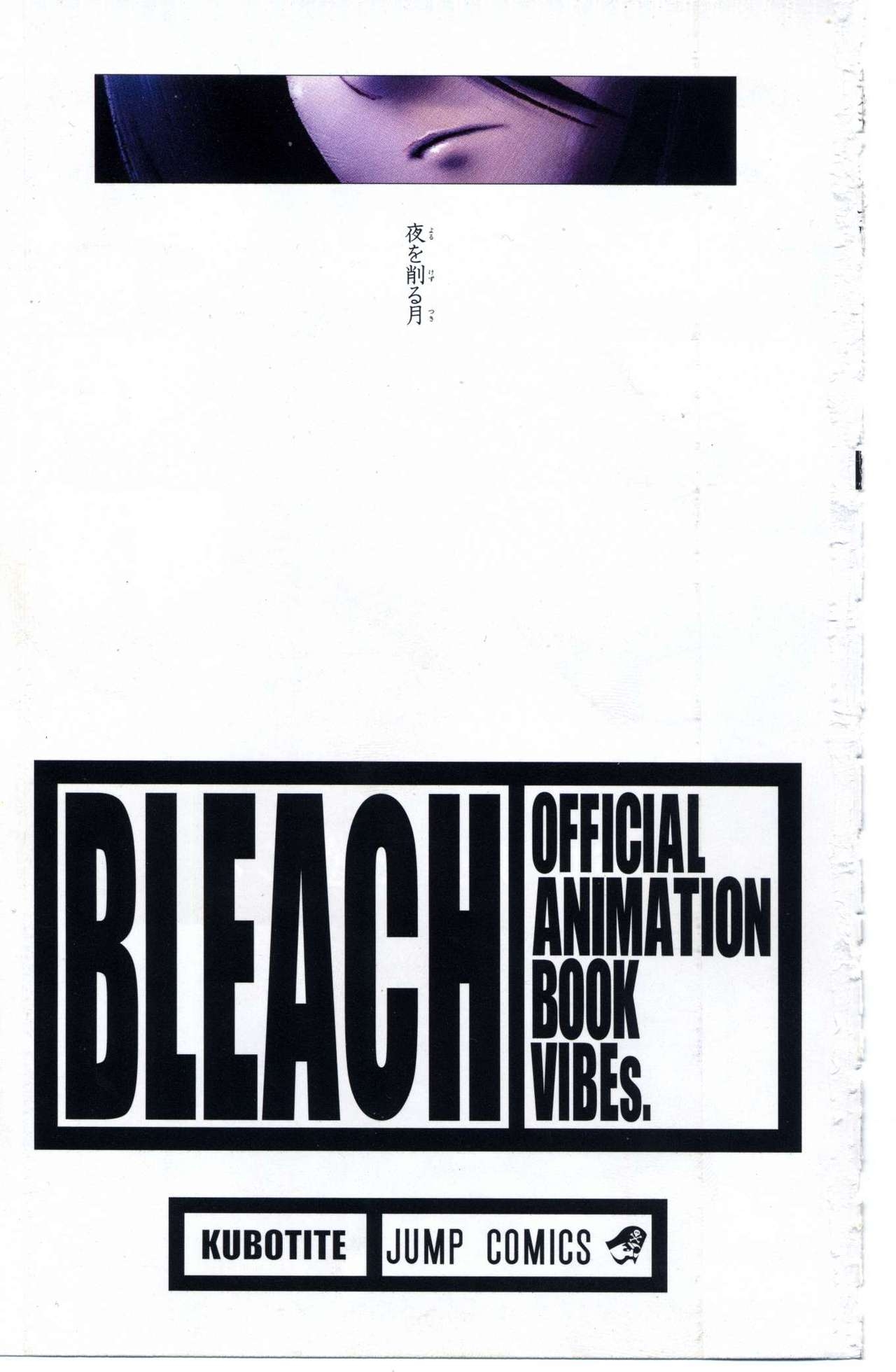 Bleach: Official Animation Book VIBEs 7