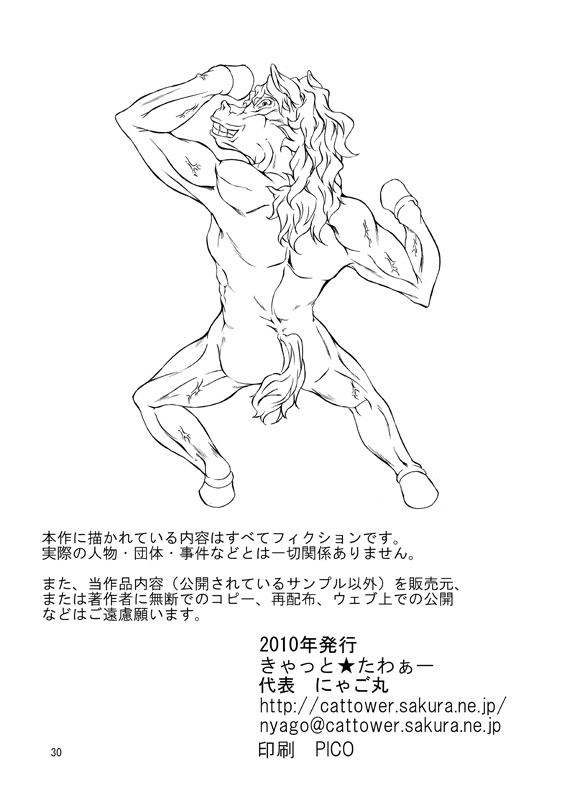 (SC47) [Cat Tower (Nyagomaru)] Zetsurin Inba 2-tou (Dragon Quest V) 29