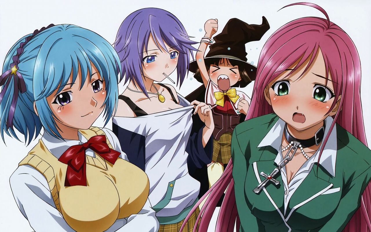 Rosario to Vampire Harem collection 17