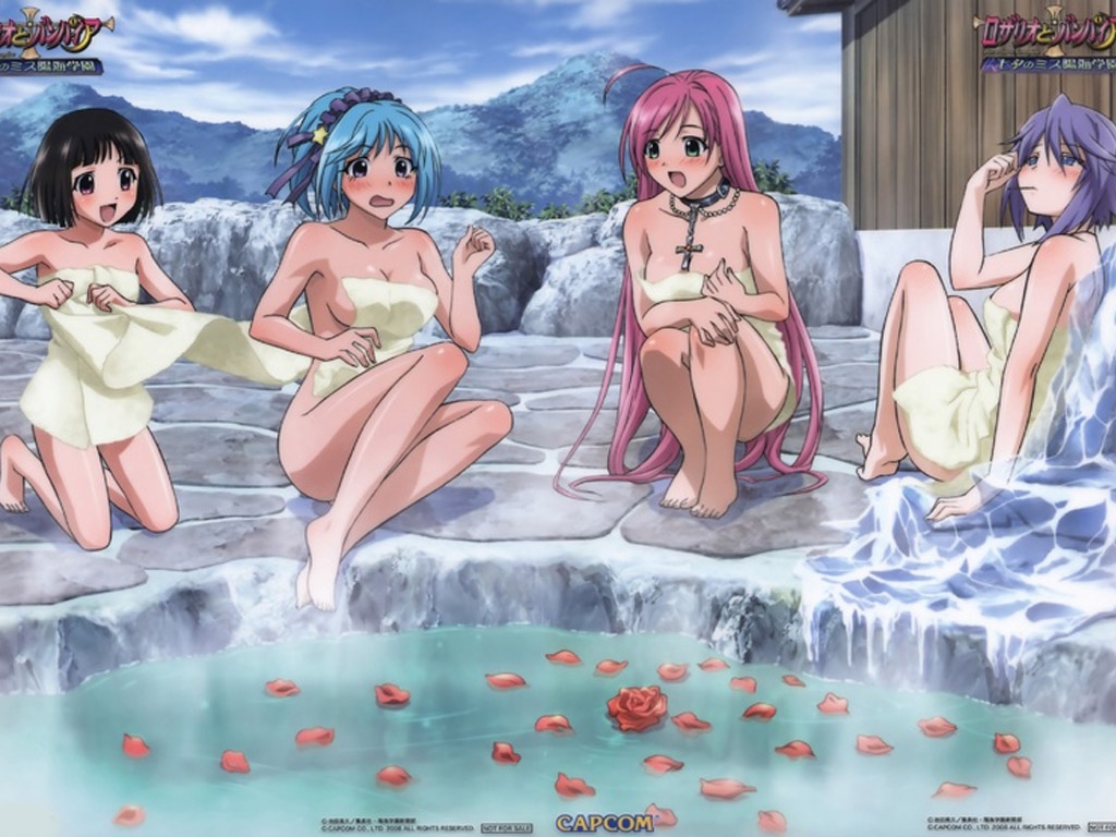 Rosario to Vampire Harem collection 18