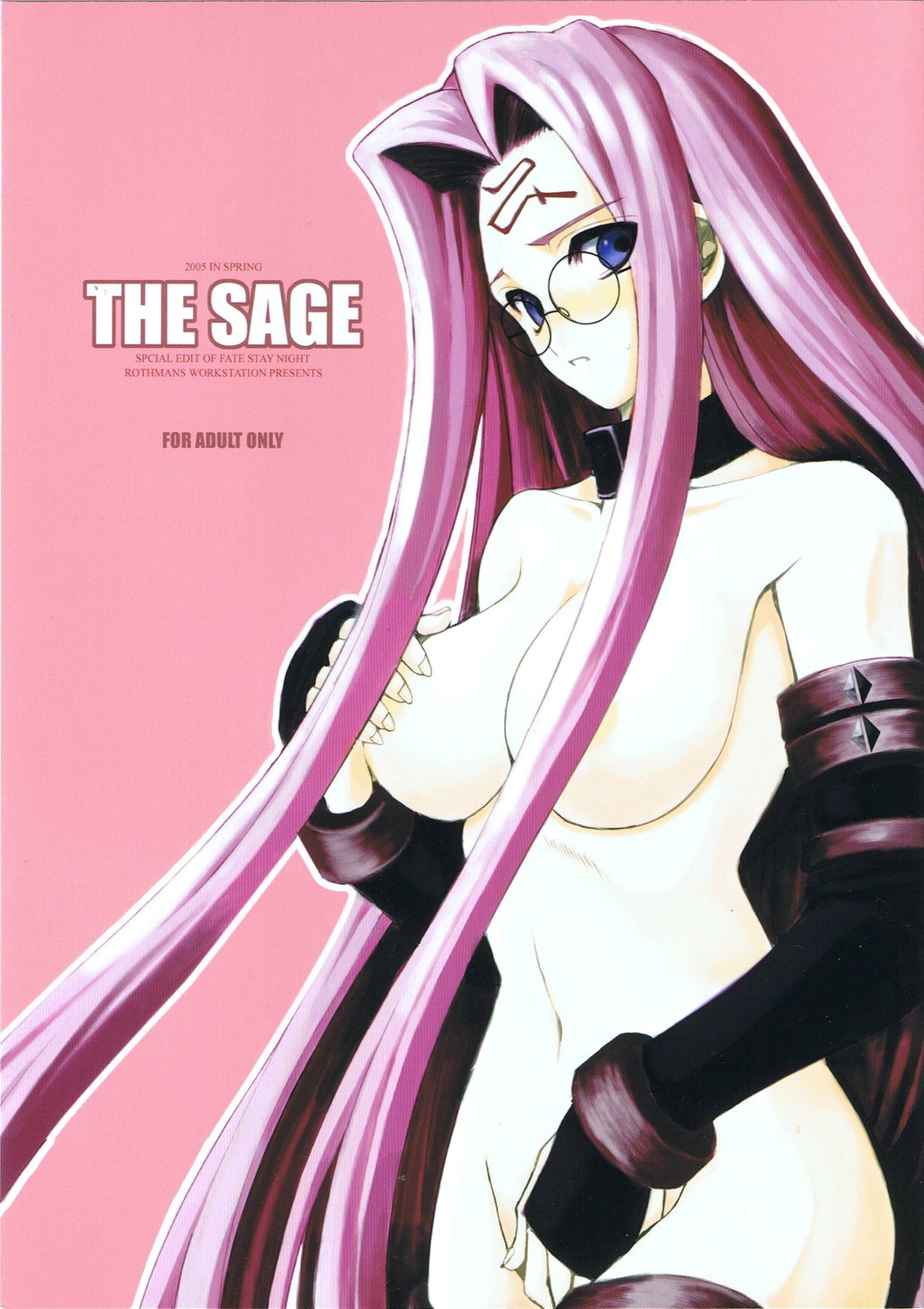 (CR37) [R-WORKS (ROS)] THE SAGE (Fate/stay night) 0