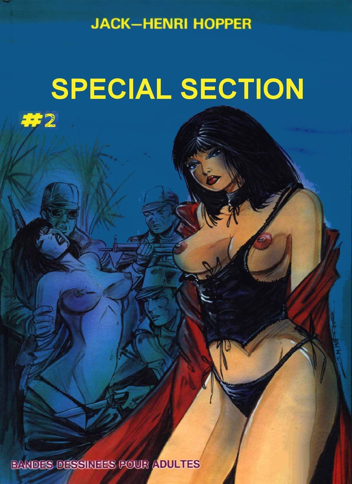 Special Section 2 0