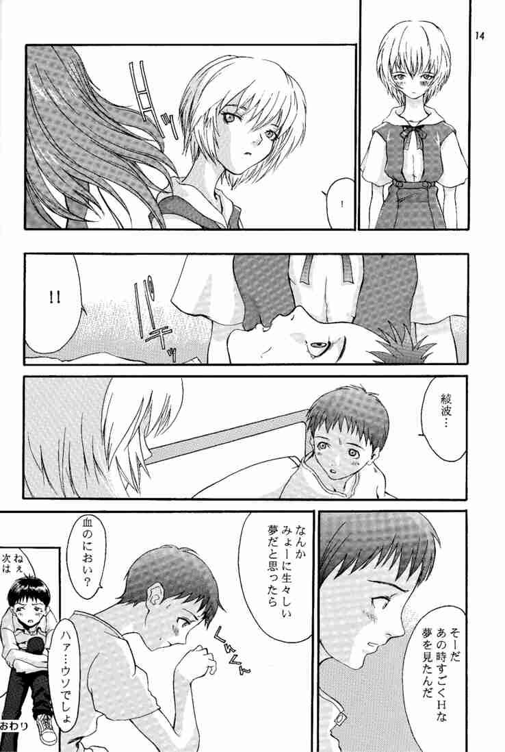 (C53) [Manga Super (Nekoi Mie)] Wonderful World (Neon Genesis Evangelion) 12