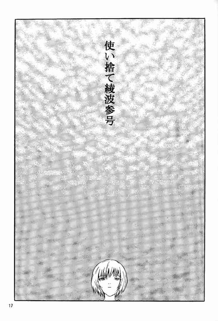 (C53) [Manga Super (Nekoi Mie)] Wonderful World (Neon Genesis Evangelion) 15