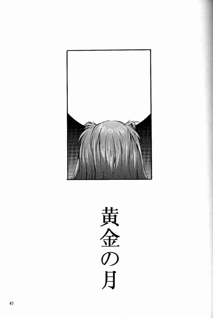 (C53) [Manga Super (Nekoi Mie)] Wonderful World (Neon Genesis Evangelion) 39
