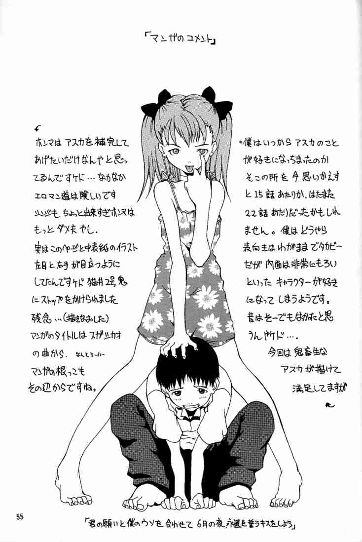 (C53) [Manga Super (Nekoi Mie)] Wonderful World (Neon Genesis Evangelion) 53