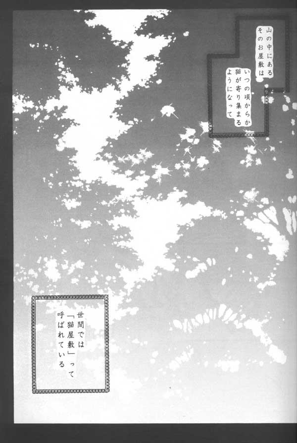 (C64) [Sakurakan (Seriou Sakura)] Tobikiri no Himitsu (Inuyasha) 4