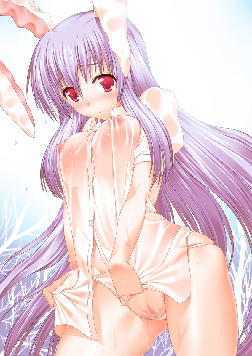 Touhou Picture vol.2 14