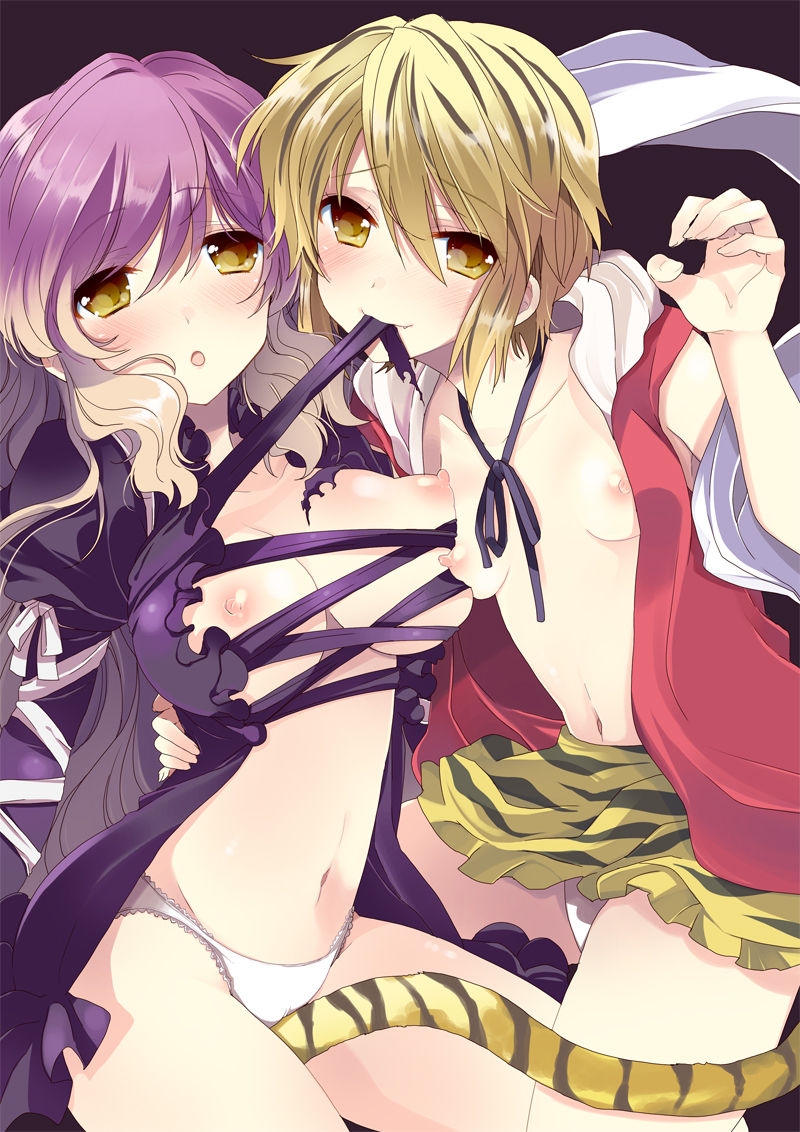 Touhou Picture vol.2 5