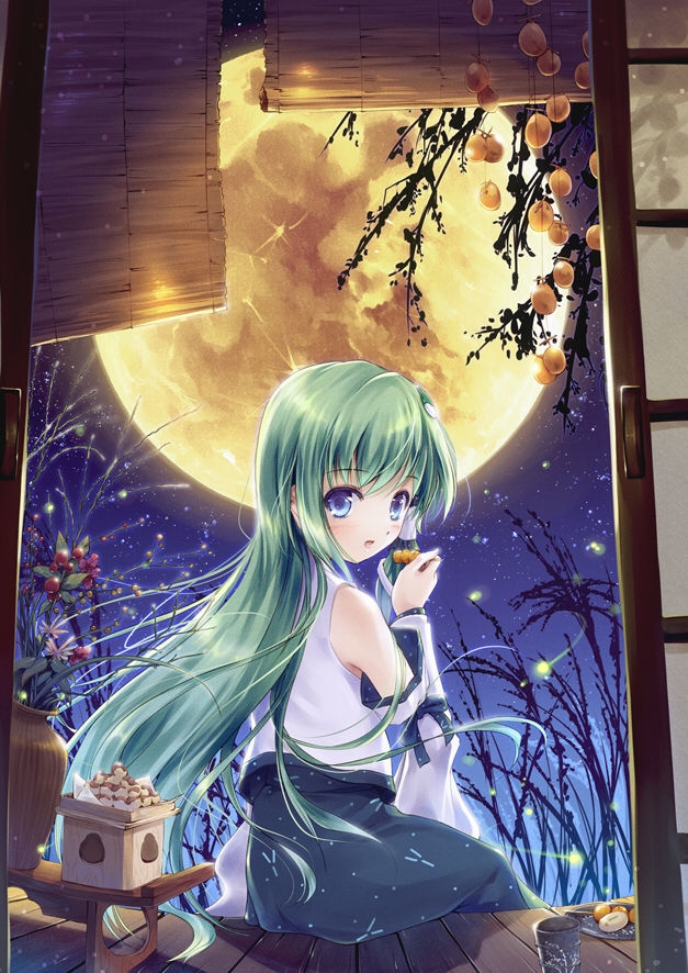 Anime Moon! - Magical Night ( Book 1) 10