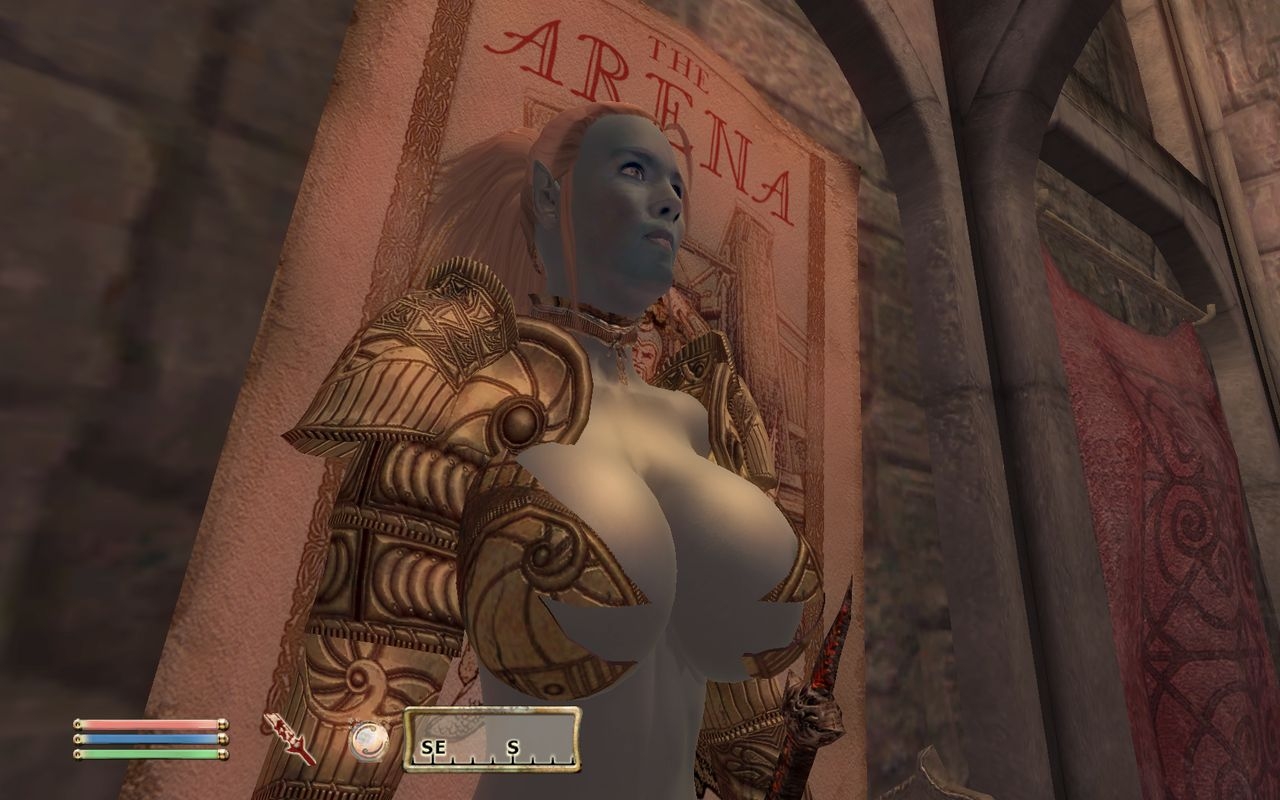 Oblivion: Blue Eyed Darkelf Chronicles 4 0