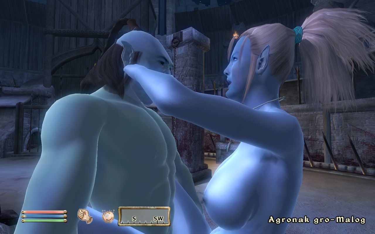 Oblivion: Blue Eyed Darkelf Chronicles 4 6