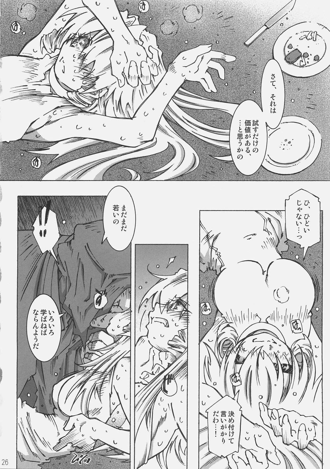 [OPEN BOOK (Toumi Haruka)] Dive Into The Night (Scrapped Princess) 24