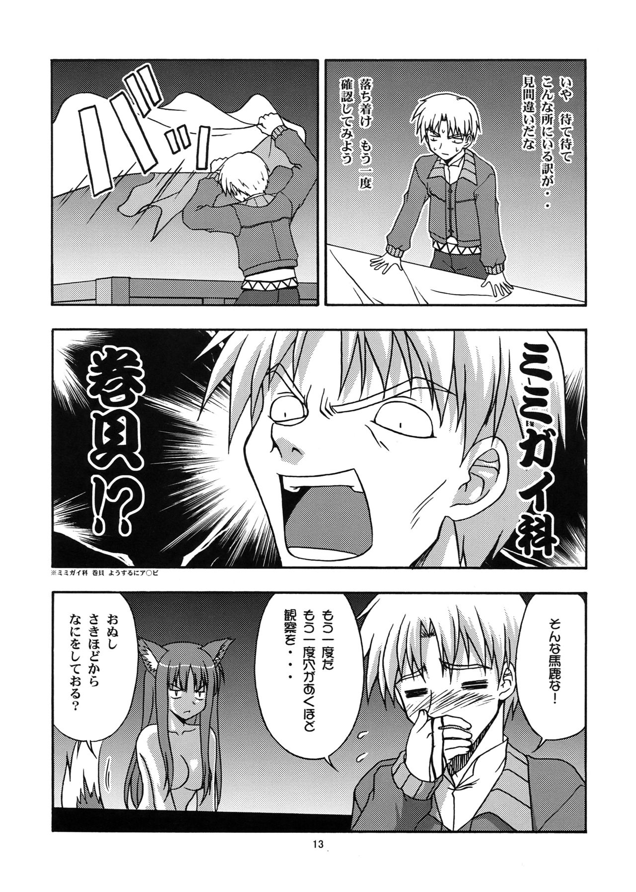 (SC39) [Circle Credit (Benjamin,  Muichimon, NAL, Akikan)] Ookami to Mimi to Shippo (Spice and Wolf) 11